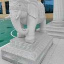 佛山 白麻花岗岩动物异形石雕-大象