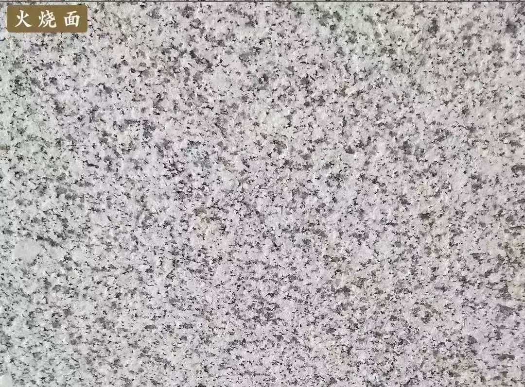 佛山白麻火烧面