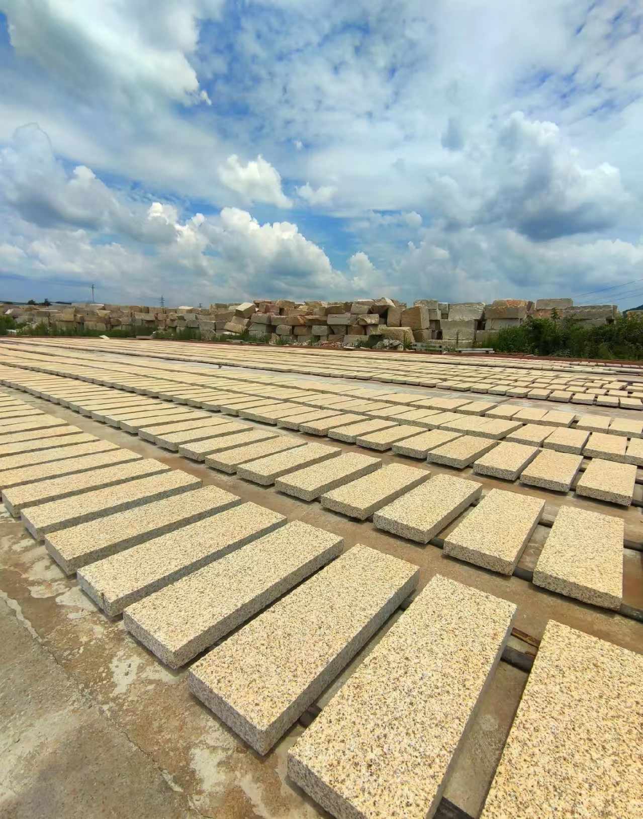 佛山 黄金麻荔枝面花岗岩石材地铺石防护中