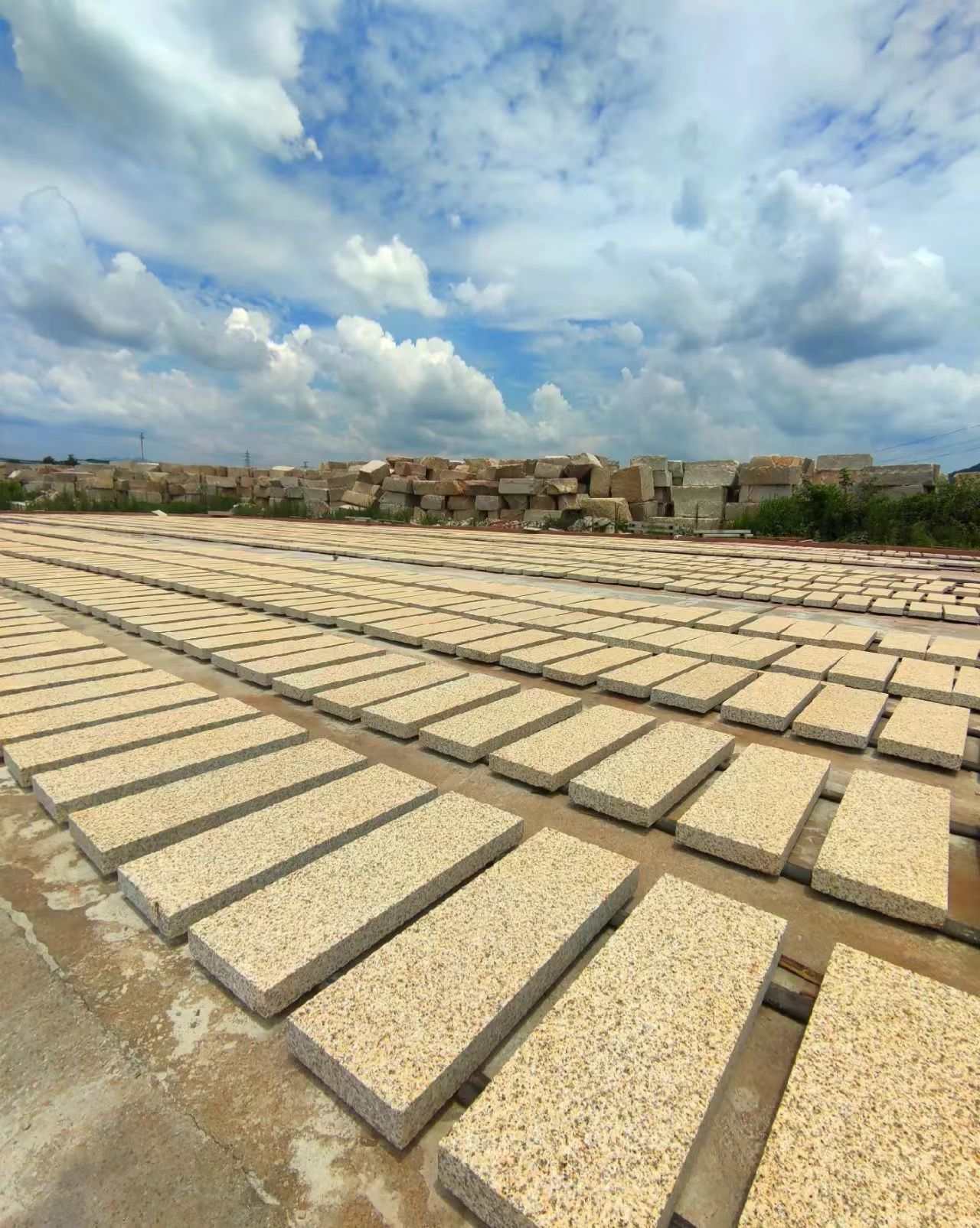 佛山 黄金麻花岗岩荔枝面地铺石防护中